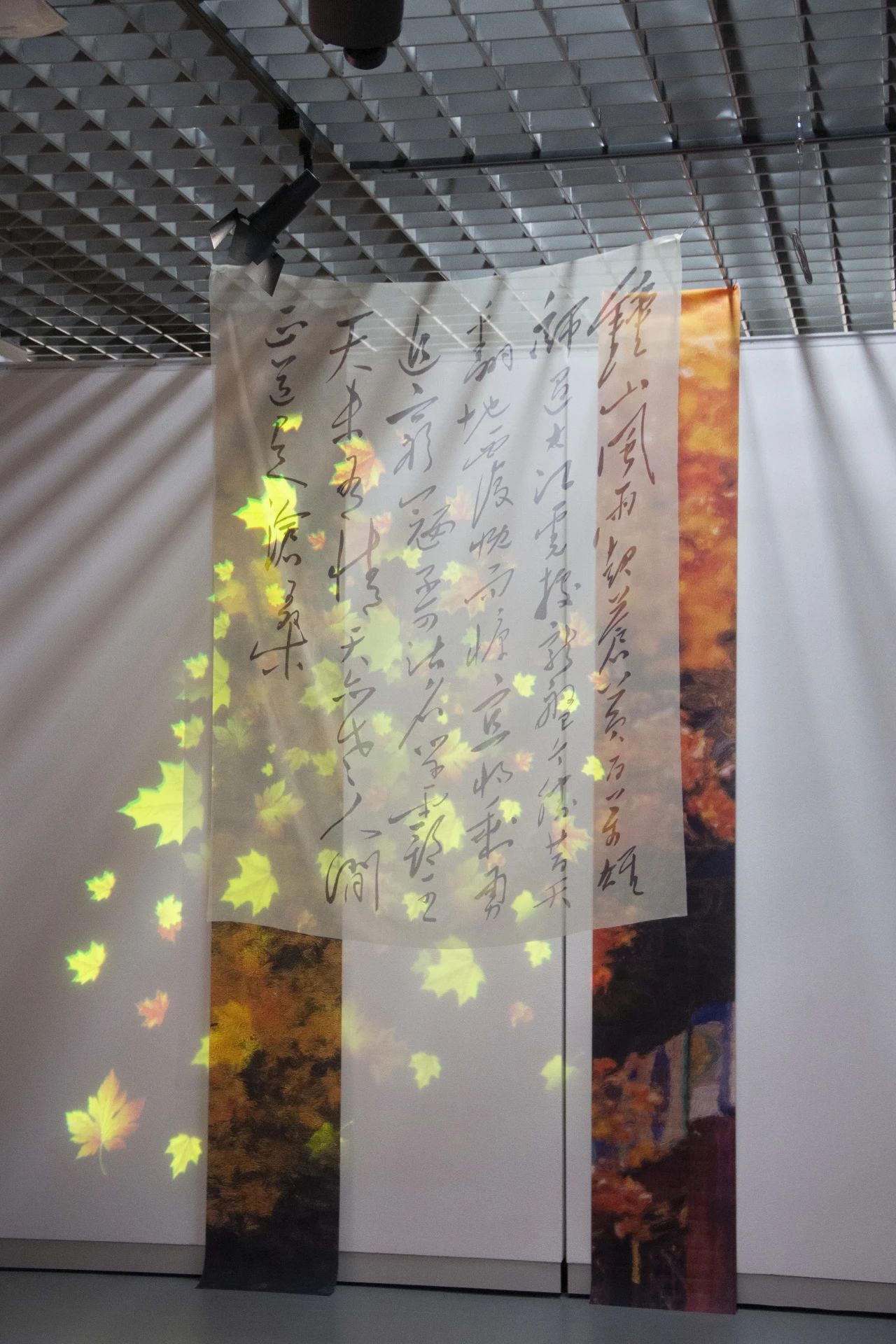 B20D0C13AED87038DE78992C021_FE8B197A_43E02